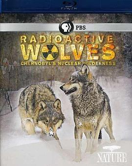 核辐射下的狼群