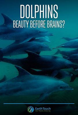 海豚的美丽与智慧