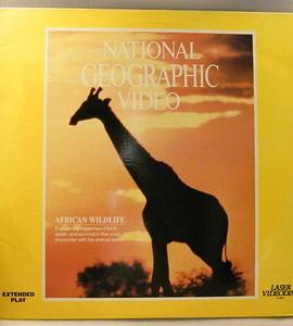 国家地理百年纪念典藏33:非洲野生动物