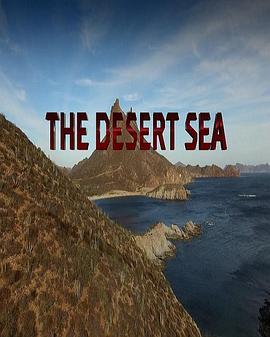 沙漠之海