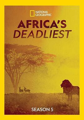 非洲致命动物第五季