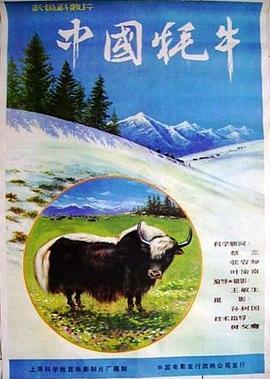 中国牦牛