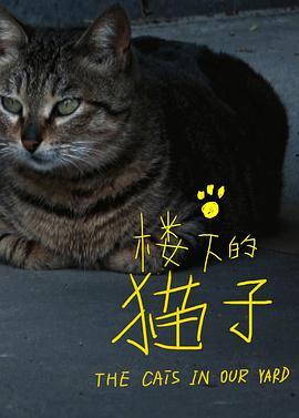 楼下的猫子