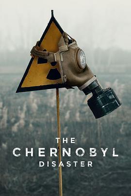 TheChernobylDisaster