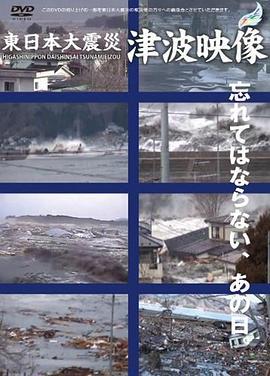 東日本大震災津波映像