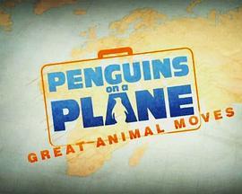 飞机上的企鹅：伟大的动物运动